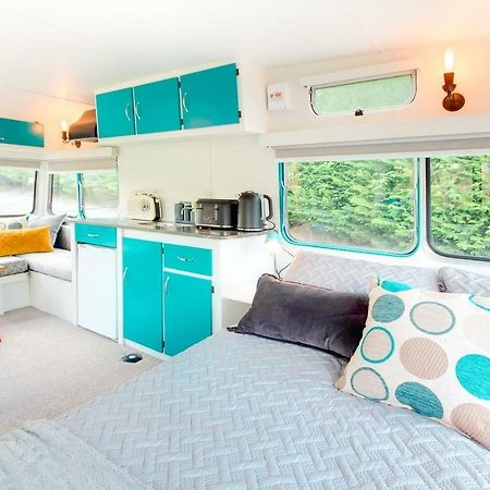 Mountviews Glamping- Retro Caravan Getaway Taupo Exterior foto